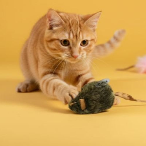 jouet pour chat souris verte avec chat jouant