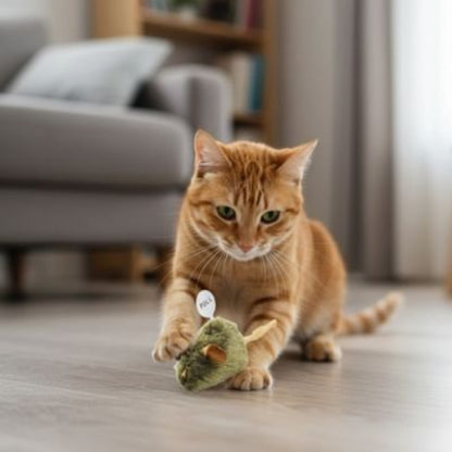 jouet pour chat souris verte en peluche chat jouant