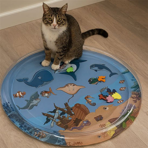 jouet pour chat tapis sensoriel requin chat assis
