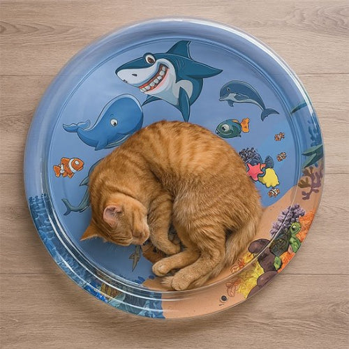 jouet pour chat tapis sensoriel requin chat dormant