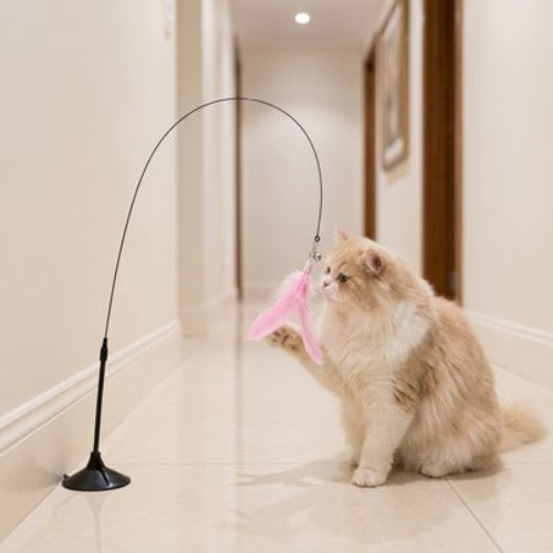 jouet pour chat tige plume rose chat jouant couloir