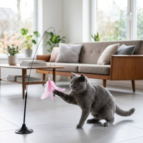 jouet pour chat tige plume rose chat jouant salon