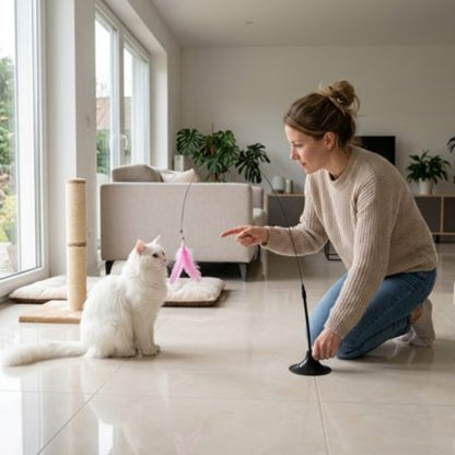 jouet pour chat tige plume rose maitresse avec chat