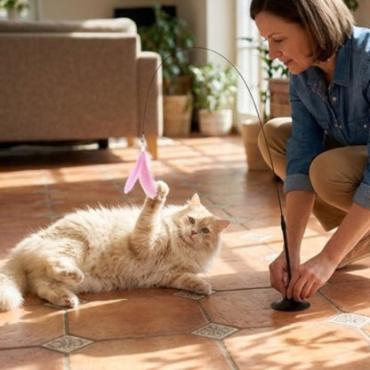 jouet pour chat tige plume rose maitresse chat jouant
