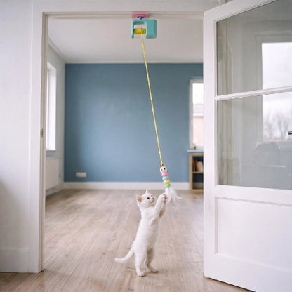 jouet pour chat yoyo automatique bleu chat jouant