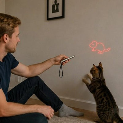 laser pour chat metallique maitre chat debout