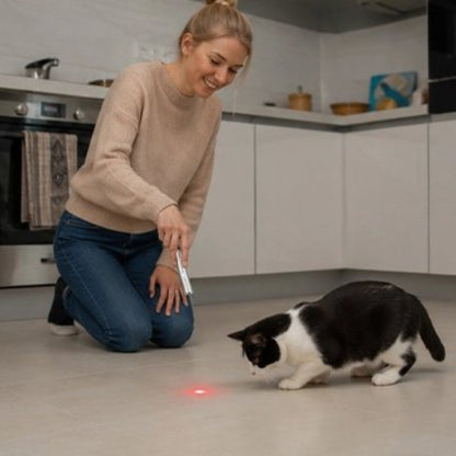 laser pour chat metallique maitresse chat jouant