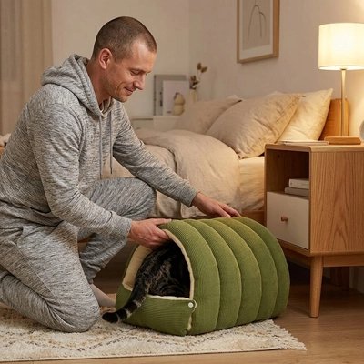 lit chat forme tunnel chat entrant maitre chambre