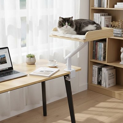 lit pour chat bois naturel chat allonge bureau