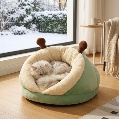 lit pour chat chenille vert chat dormant salon
