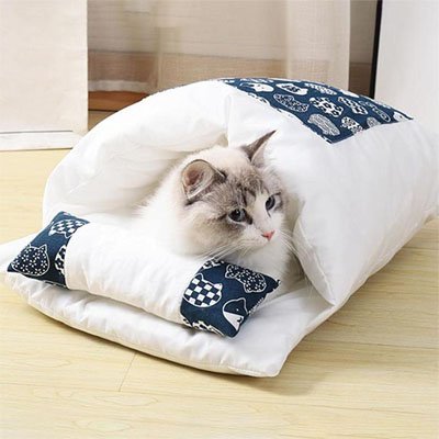 lit pour chat design futon japonais chat allonge salon