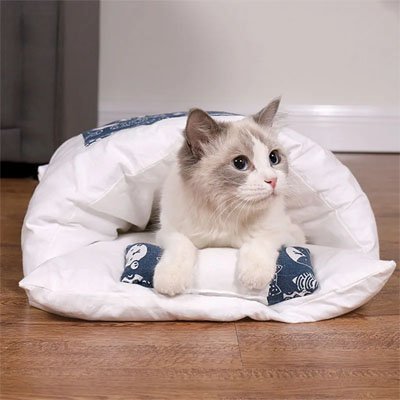 lit pour chat design futon japonais salon chat allonge