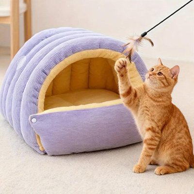 lit pour chat forme arquee violet chat debout