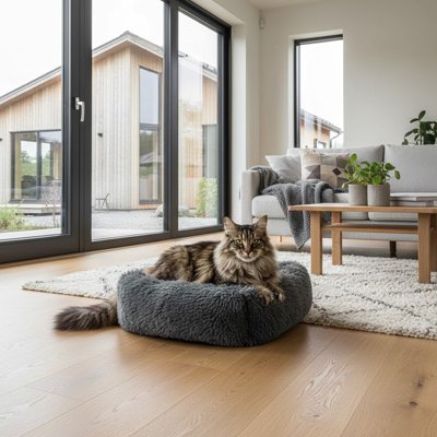lit pour chat forme rectangulaire gris salon chat allonge