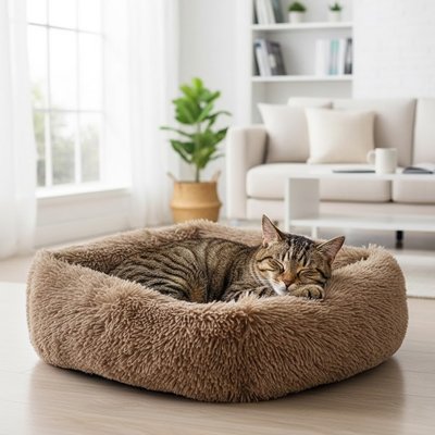 lit pour chat forme rectangulaire marron salon chat dormant