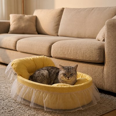 lit pour chat princesse jaune chat allonge canape salon