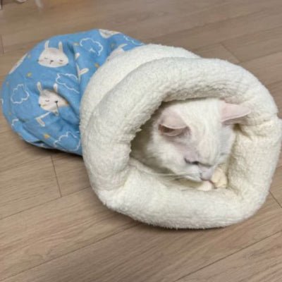 Lit pour chat | Sac de couchage - Mon Adorable Félin