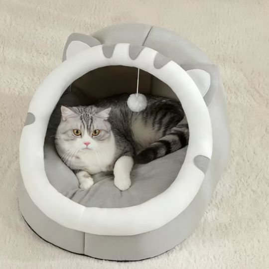 lit pour chat tete de chat gris chat allonge
