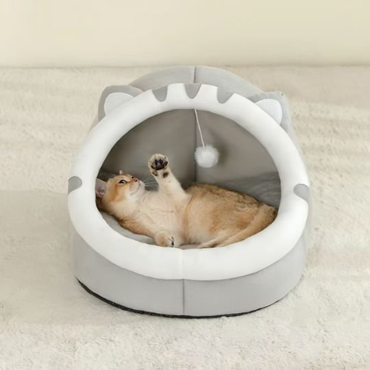 lit pour chat tete de chat gris chat amusant