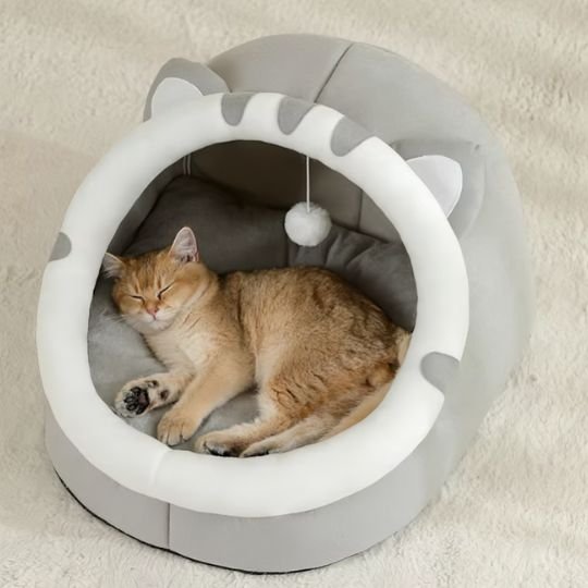 lit pour chat tete de chat gris chat dormant