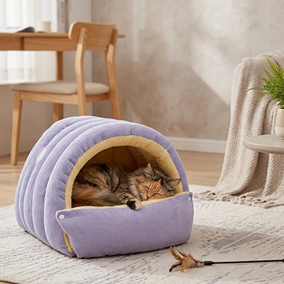 lit pour chat violet forme arquee chat dormant salon