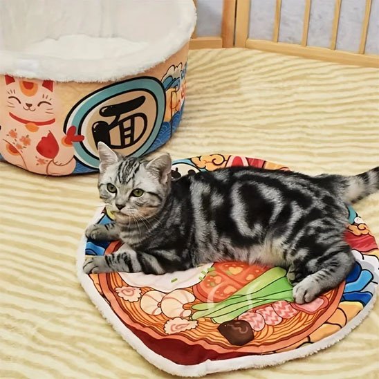 maison pour chat bol de nouilles chat allonge