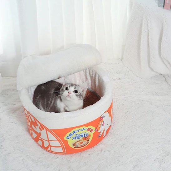 maison pour chat bol de nouilles orange chat allonge