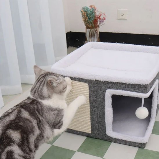 maison pour chat design multifonction chat griffant