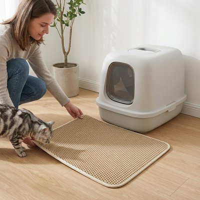 maitresse avec chat tapis litière chat alveole kaki