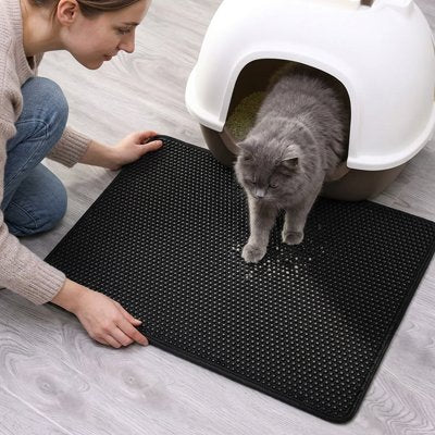 maitresse chat avec tapis chat litière efficace noir