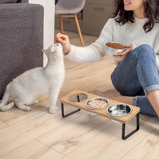 maitresse dans salon avec chat mangeant dans gamelle chat surelevee industrielle triple bols inox