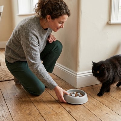 maitresse et chat avec gamelle anti glouton chat patte de felin couleur gris