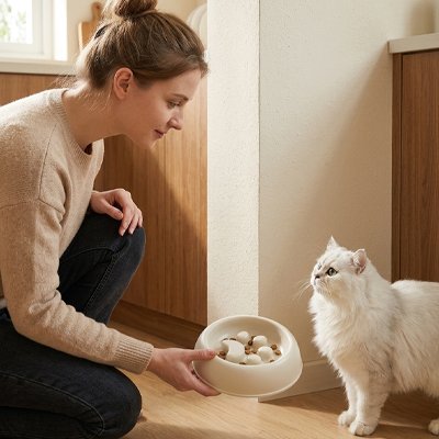 maitresse et chat avec gamelle anti glouton chat patte de felin couleur beige