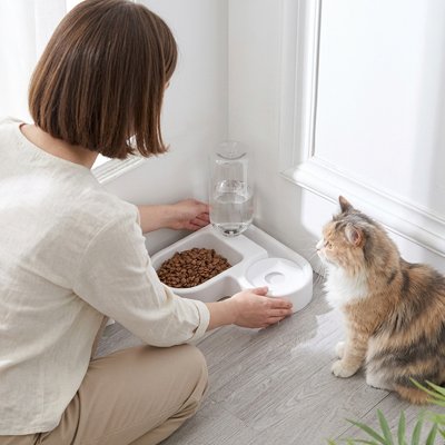 maitresse et chat avec gamelle chat double usage couleur blanche dans salon