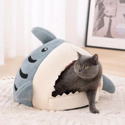 niche-chat-amusante