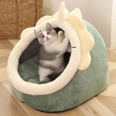 niche-chat-dinosaure-moelleux
