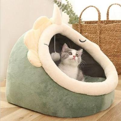 niche-chat-dinosaure-vert