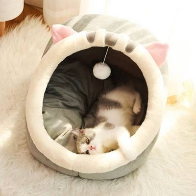 niche-chat-felin-moelleux
