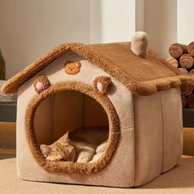 niche-chat-maison-ourson-brun