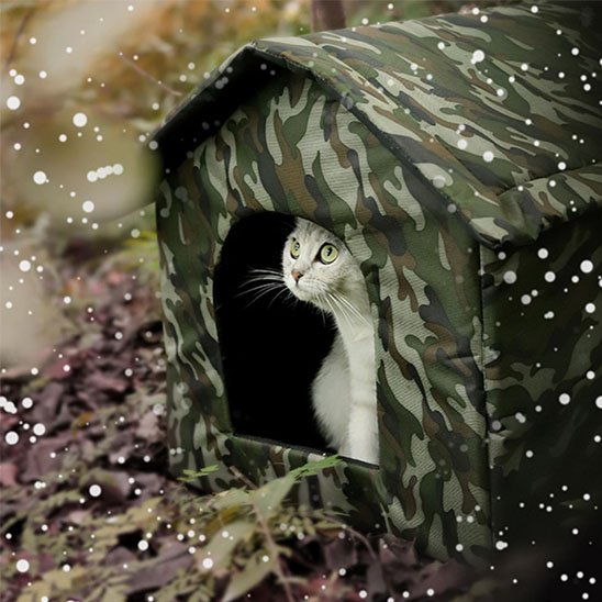 niche exterieur pour chat design camouflage chat debout