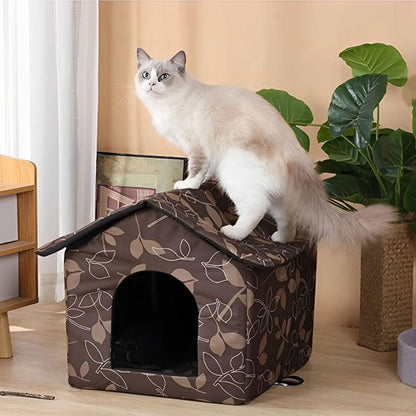 niche exterieur pour chat design feuillages chat debout salon