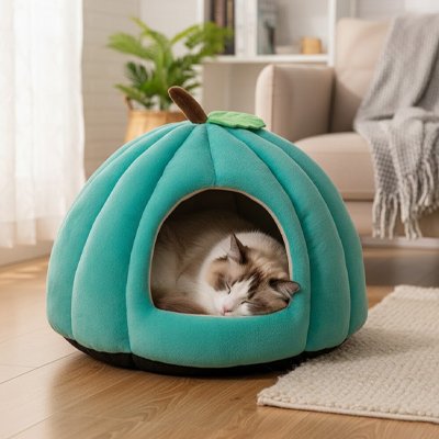 niche pour chat design citrouille turquoise chat dormant salon