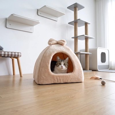 niche pour chat forme pyramidale beige chat allonge