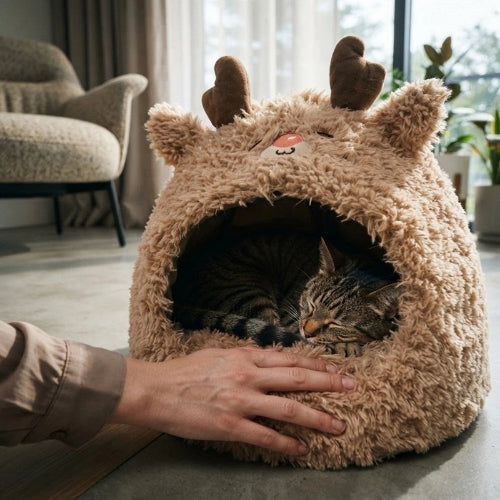 niche pour chat ludique marron chat dormant
