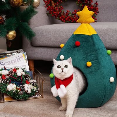 niche pour chat sapin de noel chat sortant salon