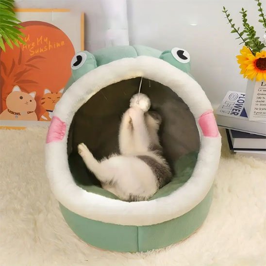 niche pour chat yeux de grenouille vert chat jouant
