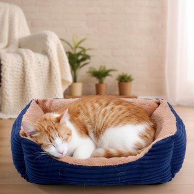 panier chat cotele bleu marine chat dormant