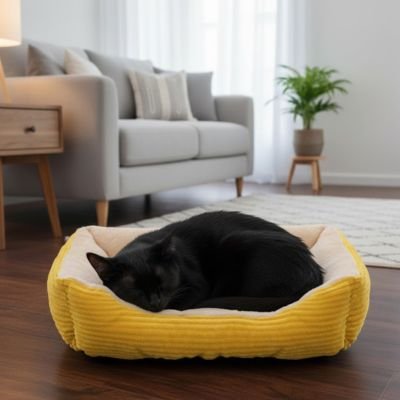 panier chat cotele jaune chat dormant salon