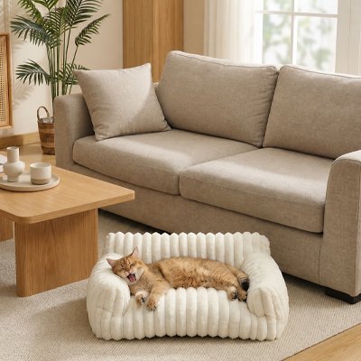 panier chat design canape blanc chat allonge salon