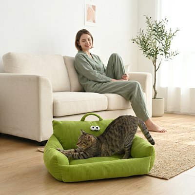 panier chat design ludique vert chat debout maitresse canape
